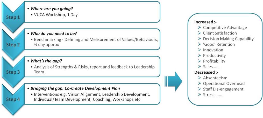 Vuca Solution