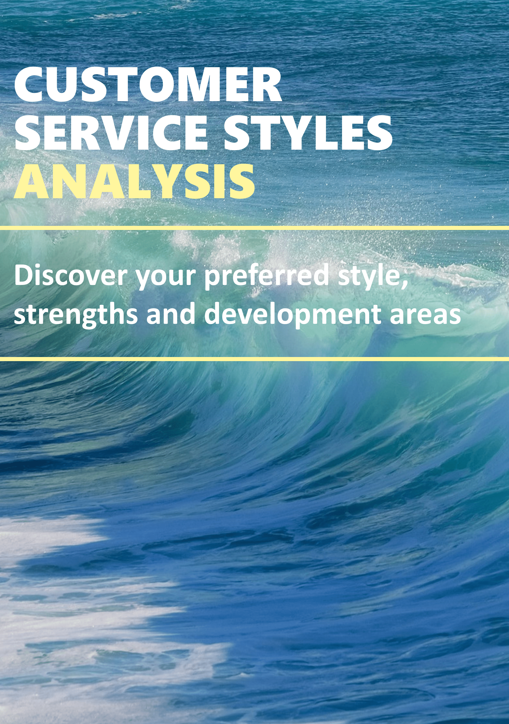 Customer Service Styles Analysis Catapult Solutions