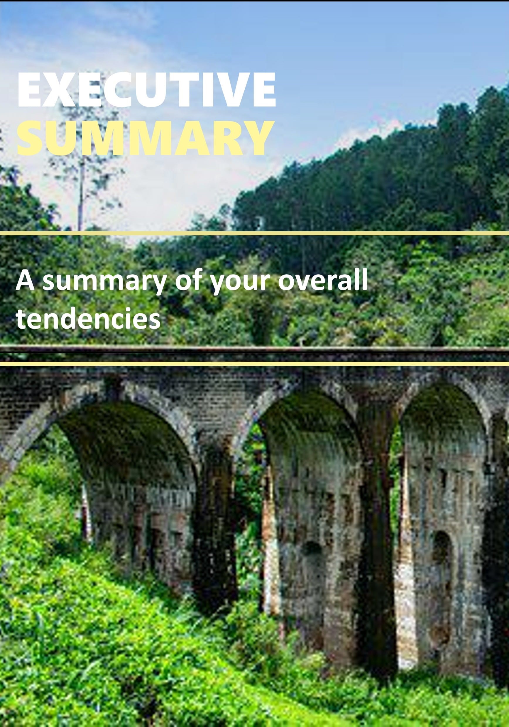 Executive Summary-min